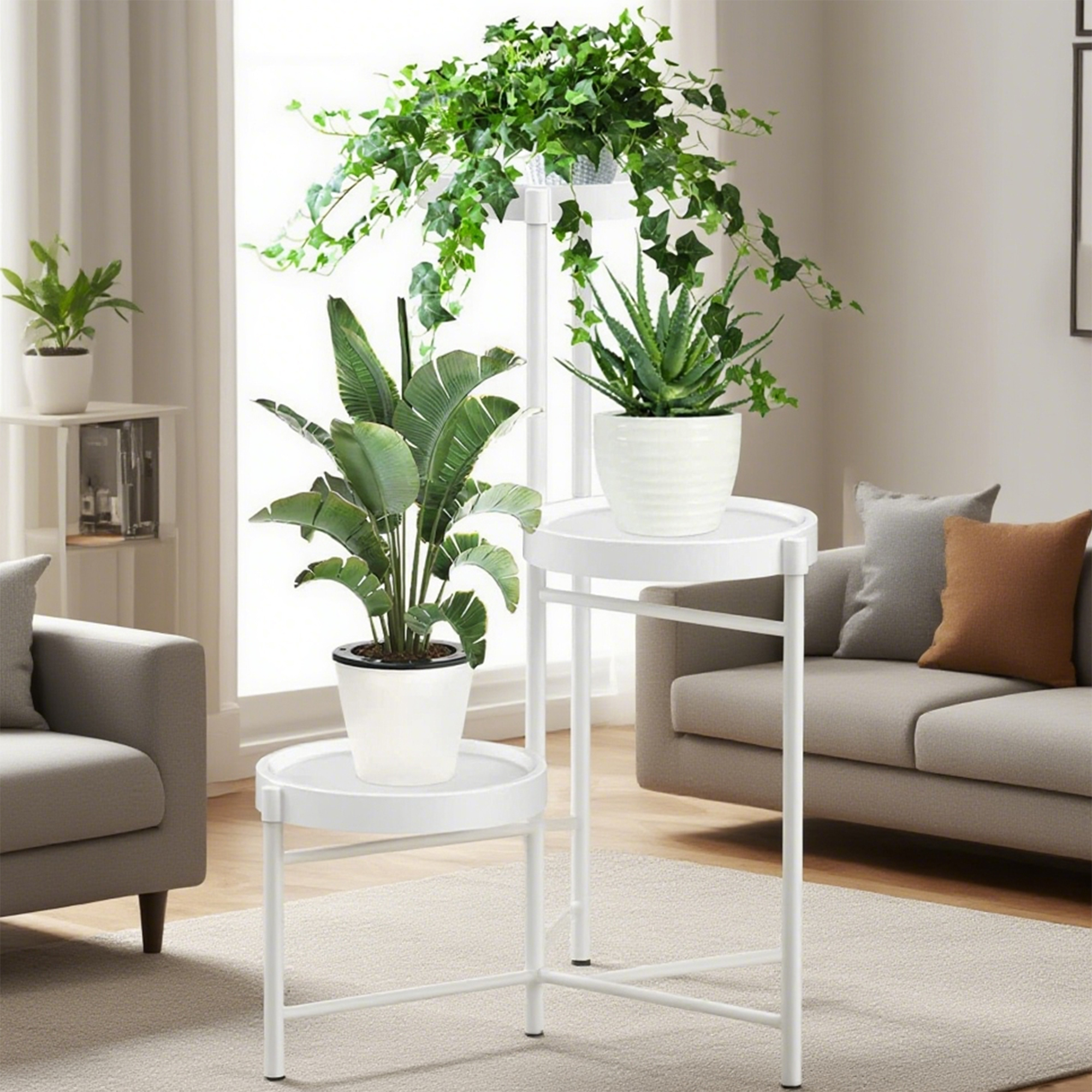 Weißer Pflanzenständer mit drei Topfpflanzen; große Blätter, Aloe und Efeu. Ein Sofa und ein Stuhl sind sichtbar.