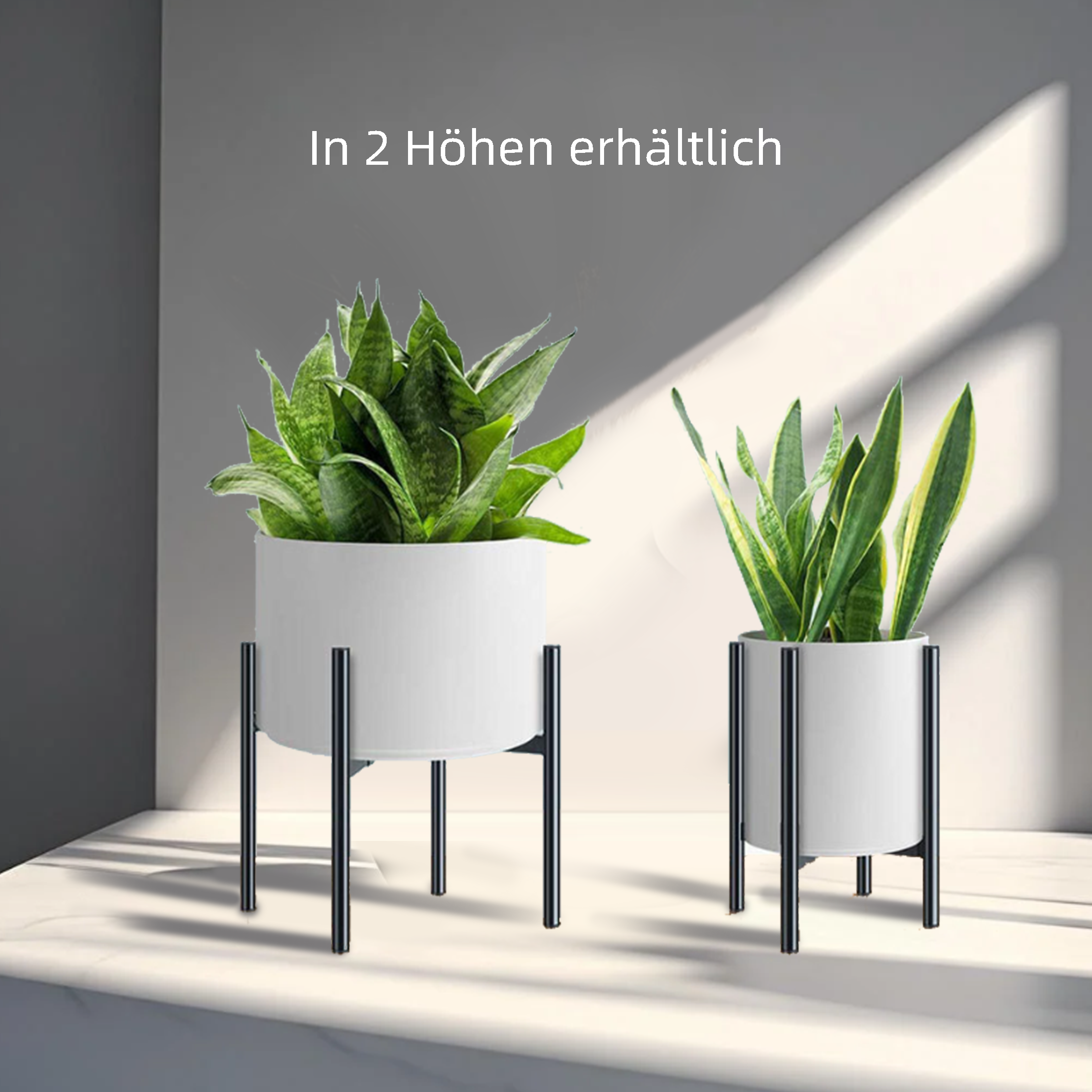 Zwei weiße Pflanzgefäße mit Pflanzen. Eines mit grünen Blättern, das andere mit grünen und gelben Blättern, beide auf schwarzen Ständern.