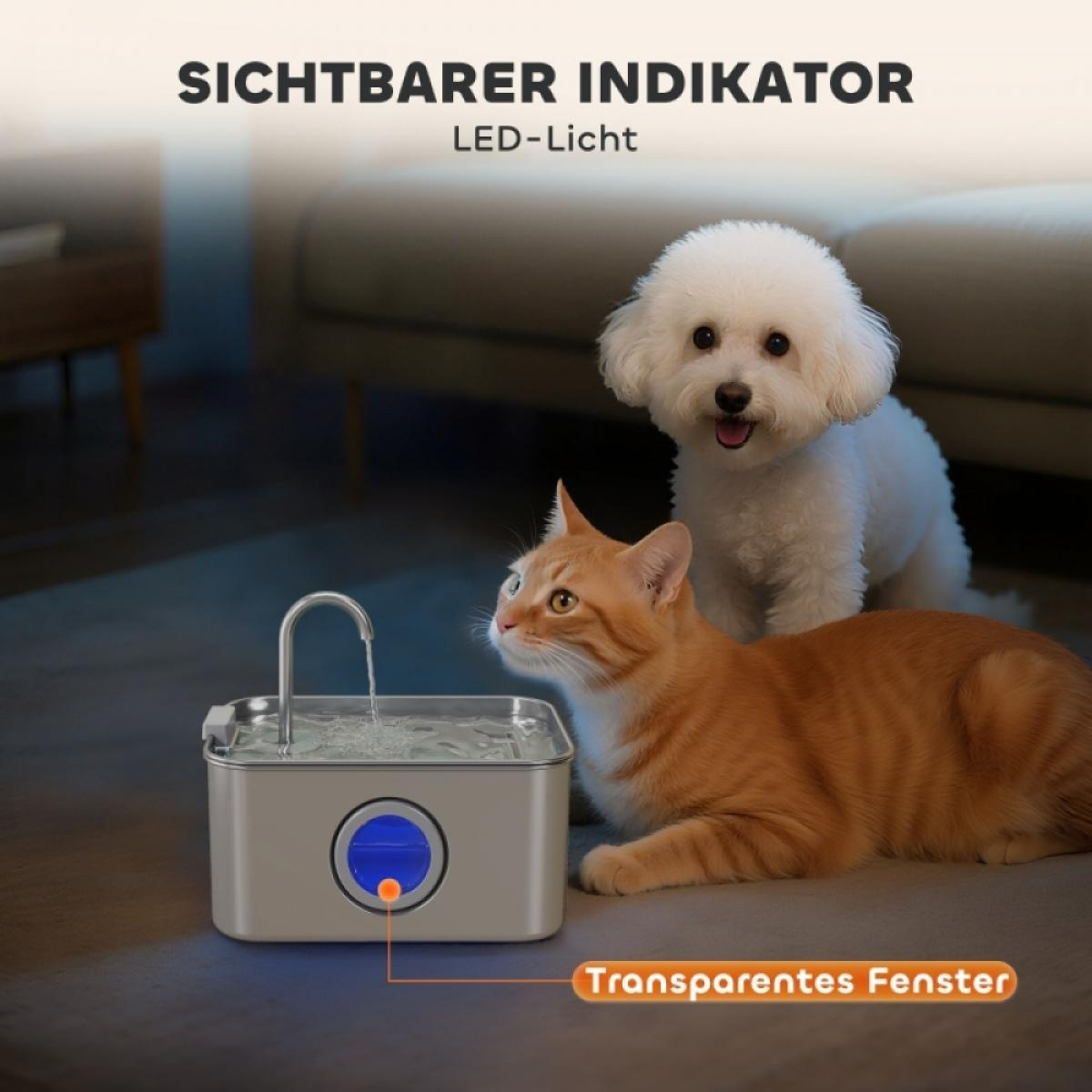Eine orange Katze und ein weißer Hund in der Nähe eines Wasserbrunnens. Der Brunnen hat ein blaues und orangefarbenes Licht.