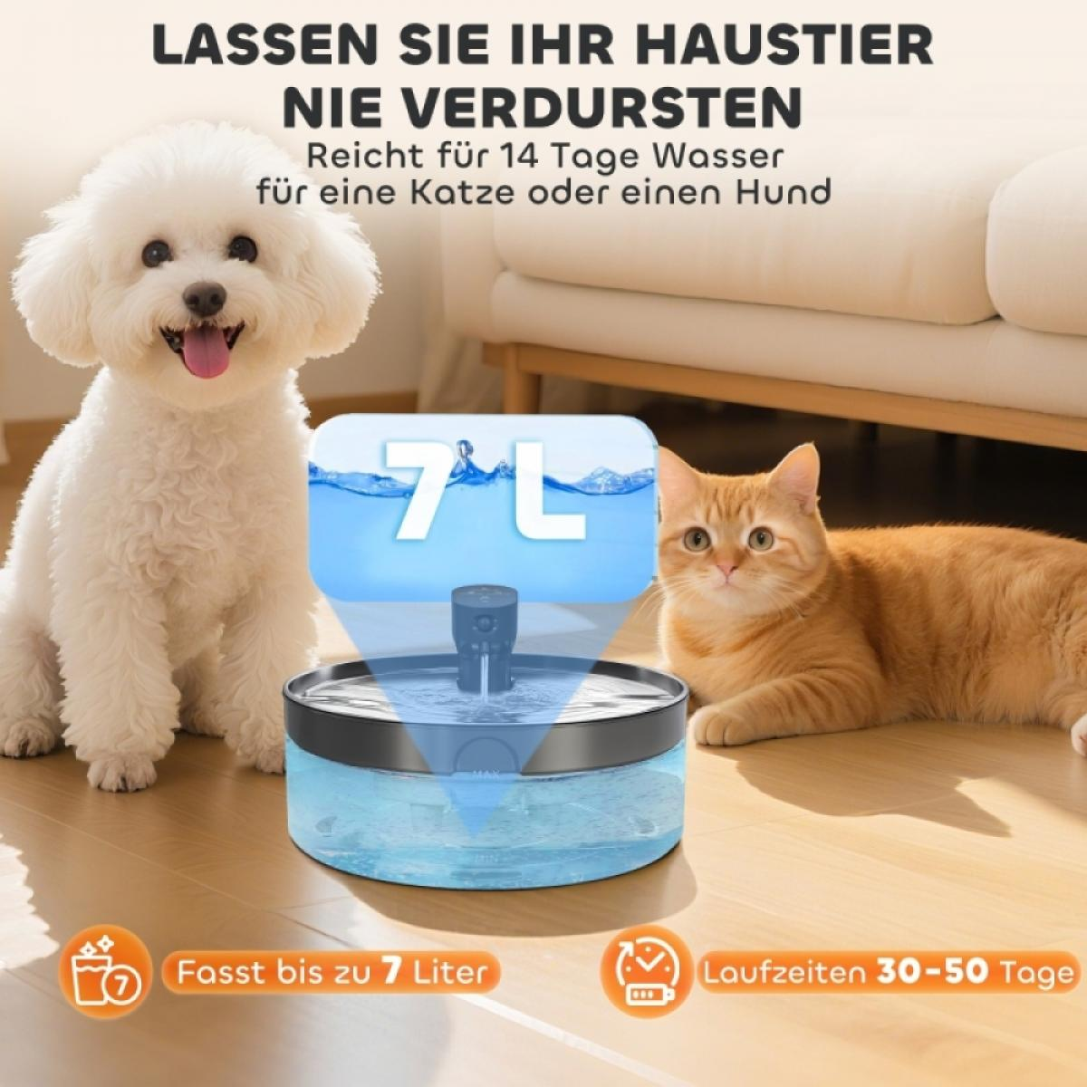 Ein Hund und eine Katze in der Nähe eines Wasserbrunnens. Text hebt 7L Fassungsvermögen und 30-50 Tage Lebensdauer hervor.
