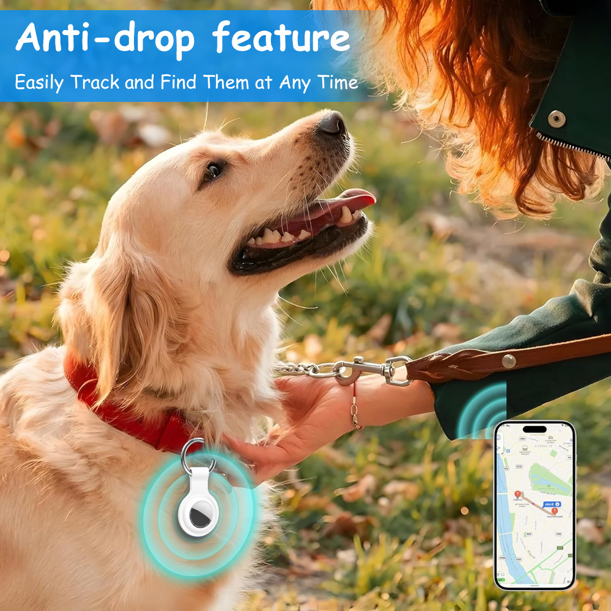 Ein Golden Retriever mit rotem Halsband und Ortungsgerät. Eine Person hält die Leine, und ein Telefon zeigt eine Karte.