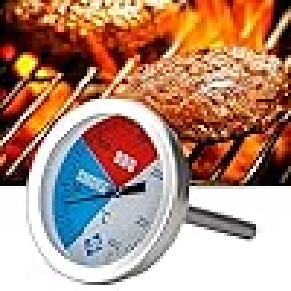Ein Fleischthermometer mit blauem, rotem und silbernem Zifferblatt und schwarzer Nadel befindet sich vor einem Grill mit Flammen.
