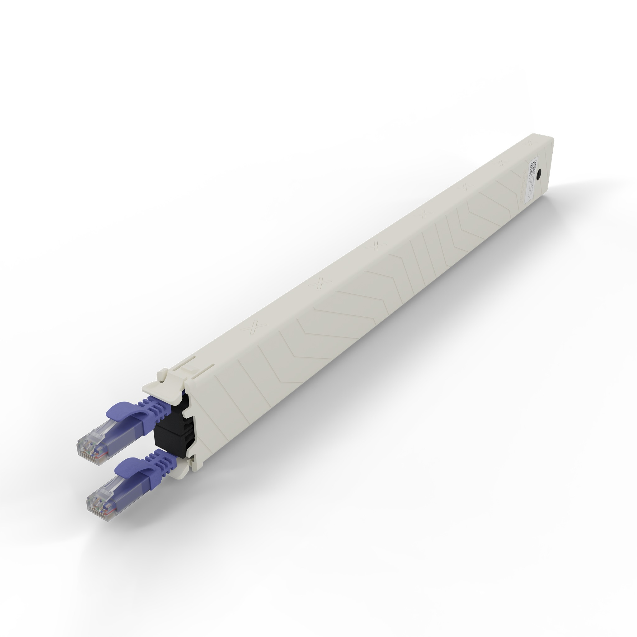 Un conduit de câble beige avec deux câbles réseau bleus insérés. Le fond est blanc uni.
