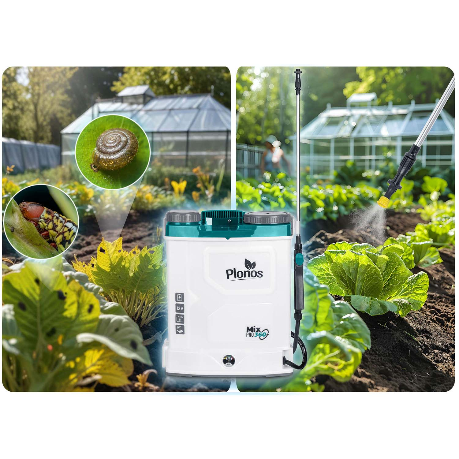 Opryskiwacz w ogrodzie. Zawiera ślimaka, gąsienicę i szklarnię. Spryskiwanie cieczą kapusty na pierwszym planie.