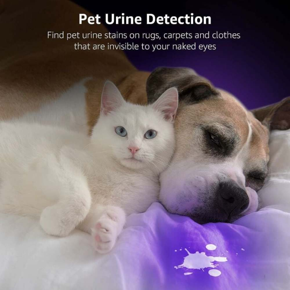 Eine weiße Katze mit blauen Augen und ein schlafender Hund liegen auf einem Bett. Lila Fleck zeigt Urinerkennung an.