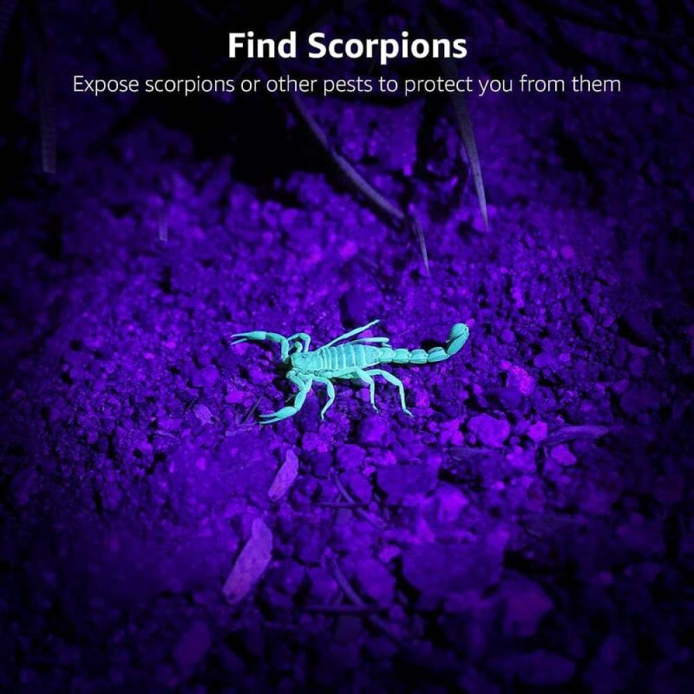 Ein grün leuchtender Skorpion auf violettem Boden. Der Text oben lautet 'Skorpione finden' und 'Setzen Sie Skorpione oder andere Schädlinge frei'.