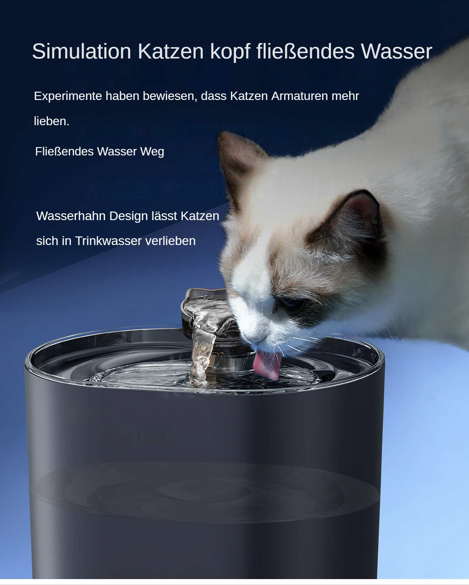 Eine Katze trinkt fließendes Wasser aus einem Brunnen. Die Katze hat ein weißes Gesicht und blaue Augen.