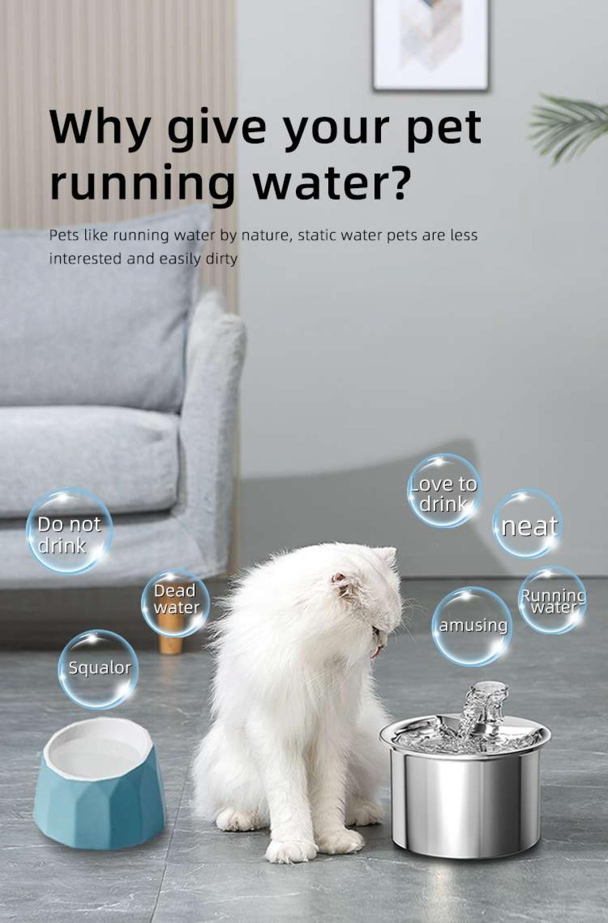 Eine weiße Katze sitzt in der Nähe eines Wasserbrunnens. Der Text lautet: „Warum Ihrem Haustier fließendes Wasser geben?“ Links ist eine blaue Schüssel.