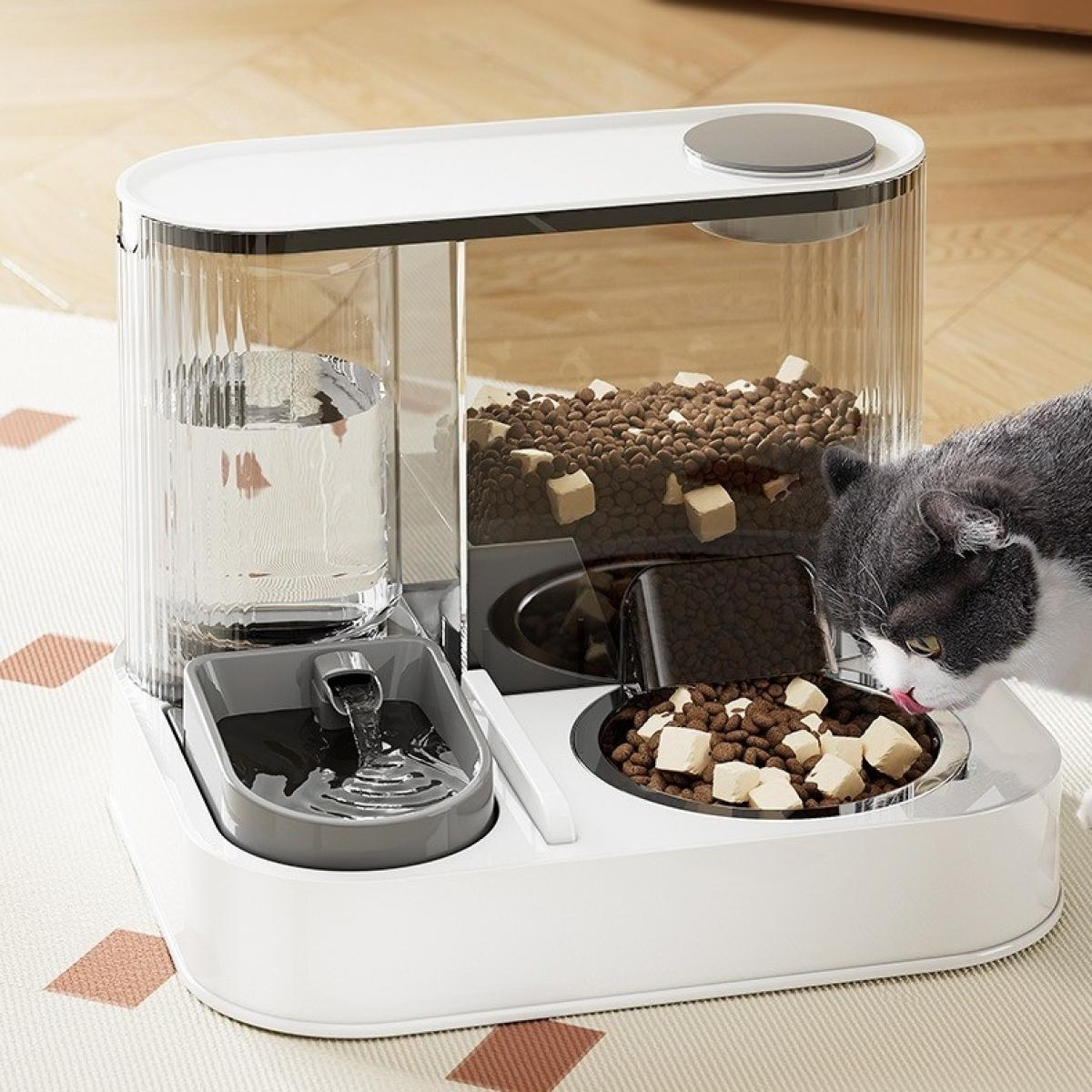 Eine Katze frisst aus einer Futterschüssel. Daneben befindet sich ein moderner Haustierfutterautomat mit Wasser- und Futterbehältern.