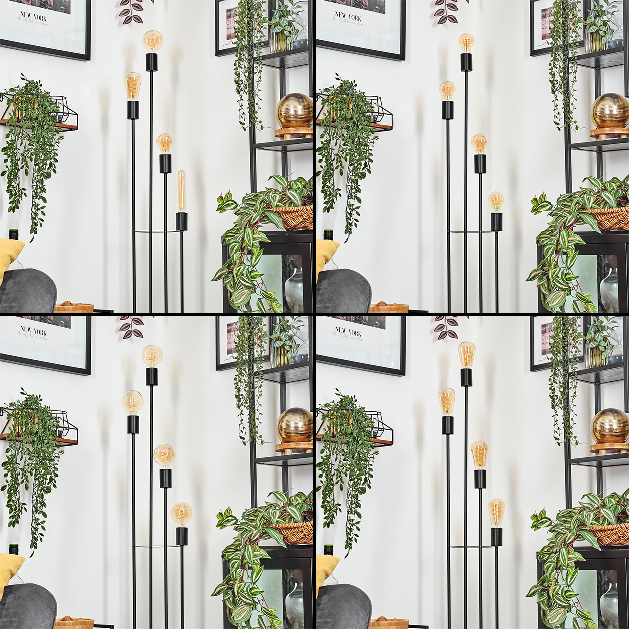 Ein Raum mit schwarzen Metalllampen, Regalen mit Pflanzen, Bildern und hängendem Grün. Die Wand ist weiß.
