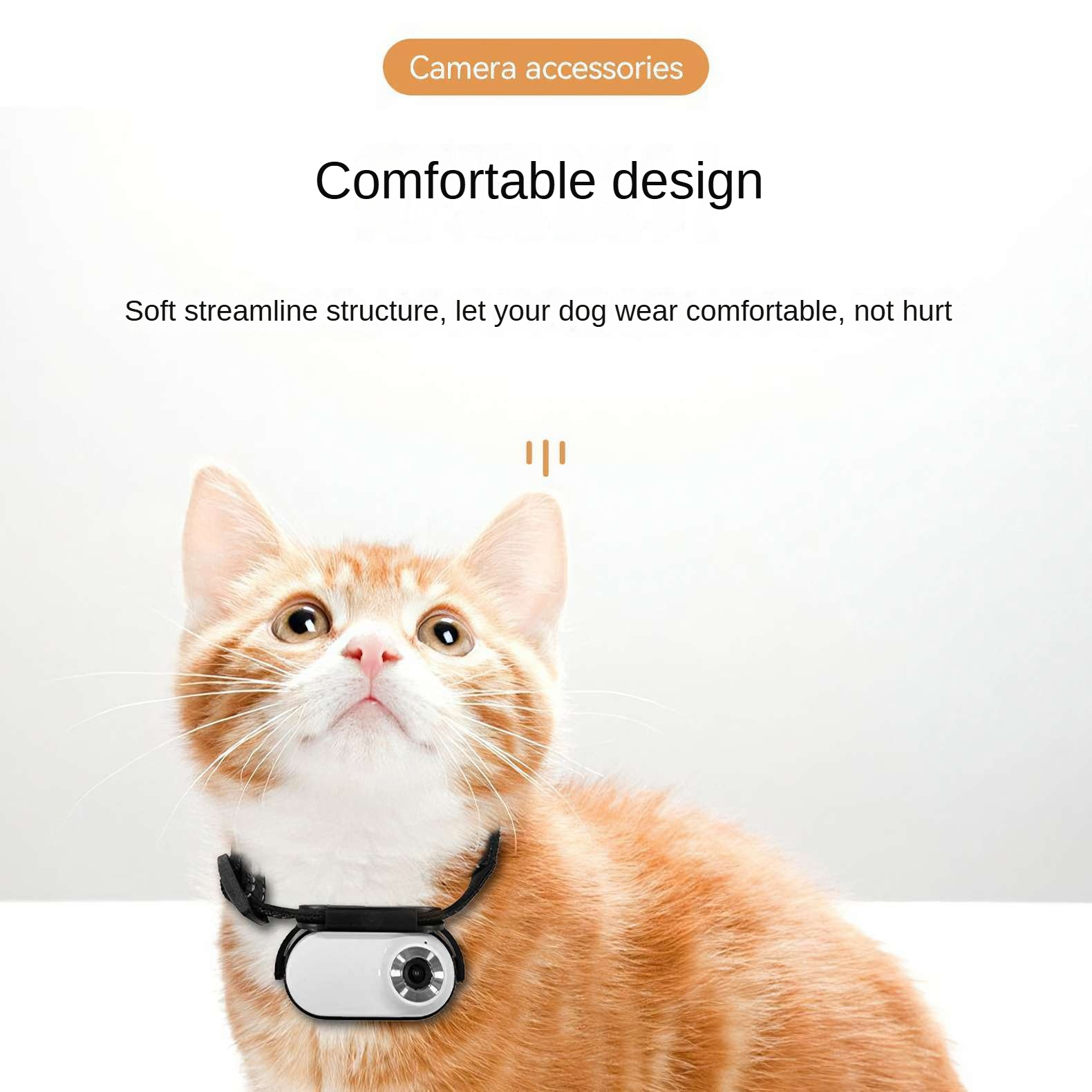 Eine rot getigerte Katze mit Kamera-Halsband. Text: 'Kamera-Zubehör' und 'Komfortables Design'.