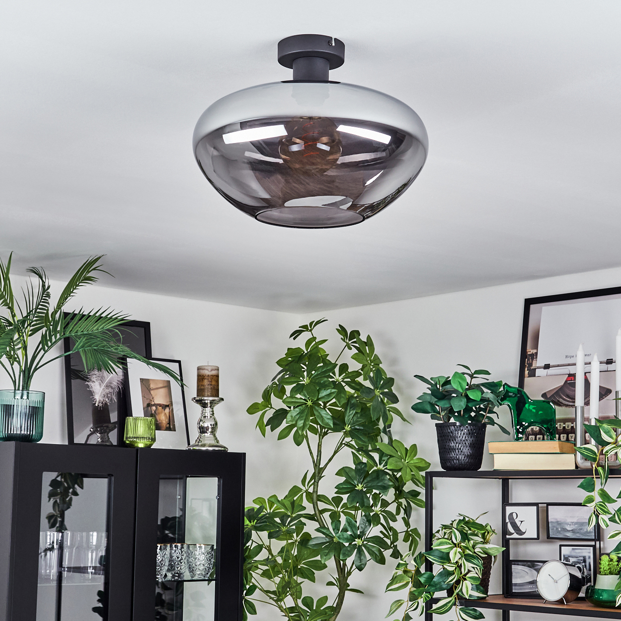 Ein Raum mit Deckenlampe, Pflanzen und Dekorationsartikeln auf Regalen und einem Schrank. Ein schwarzer Schrank und eine Uhr sind sichtbar.