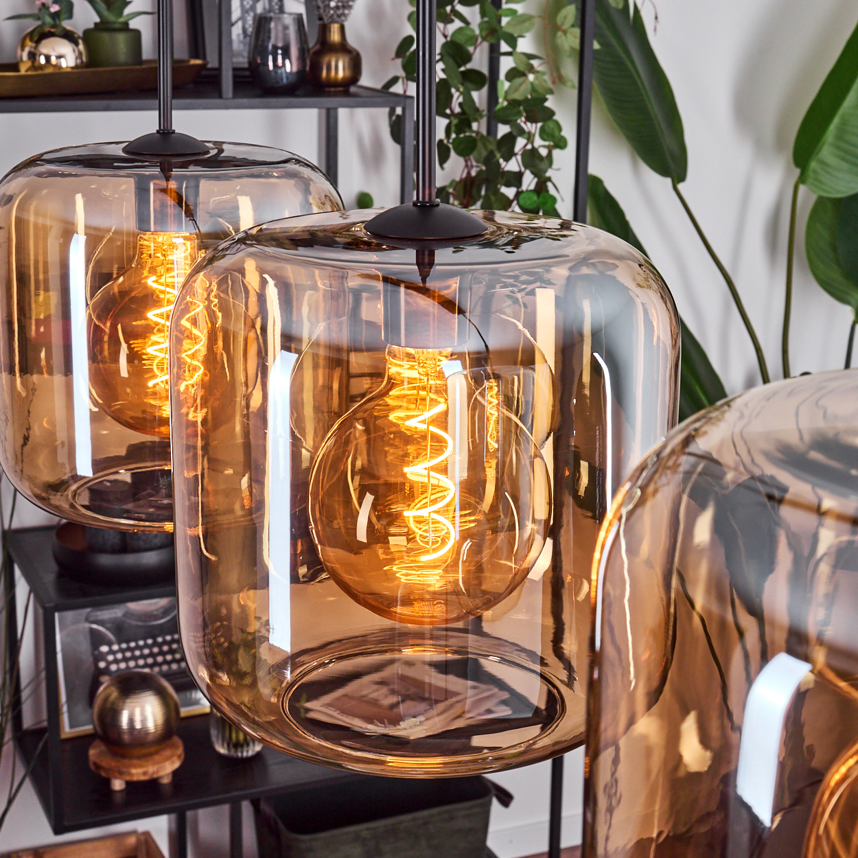 Drei Pendelleuchten aus bernsteinfarbenem Glas mit freiliegenden Wendelglühlampen hängen vor einem Regal mit Dekorationen und Pflanzen.
