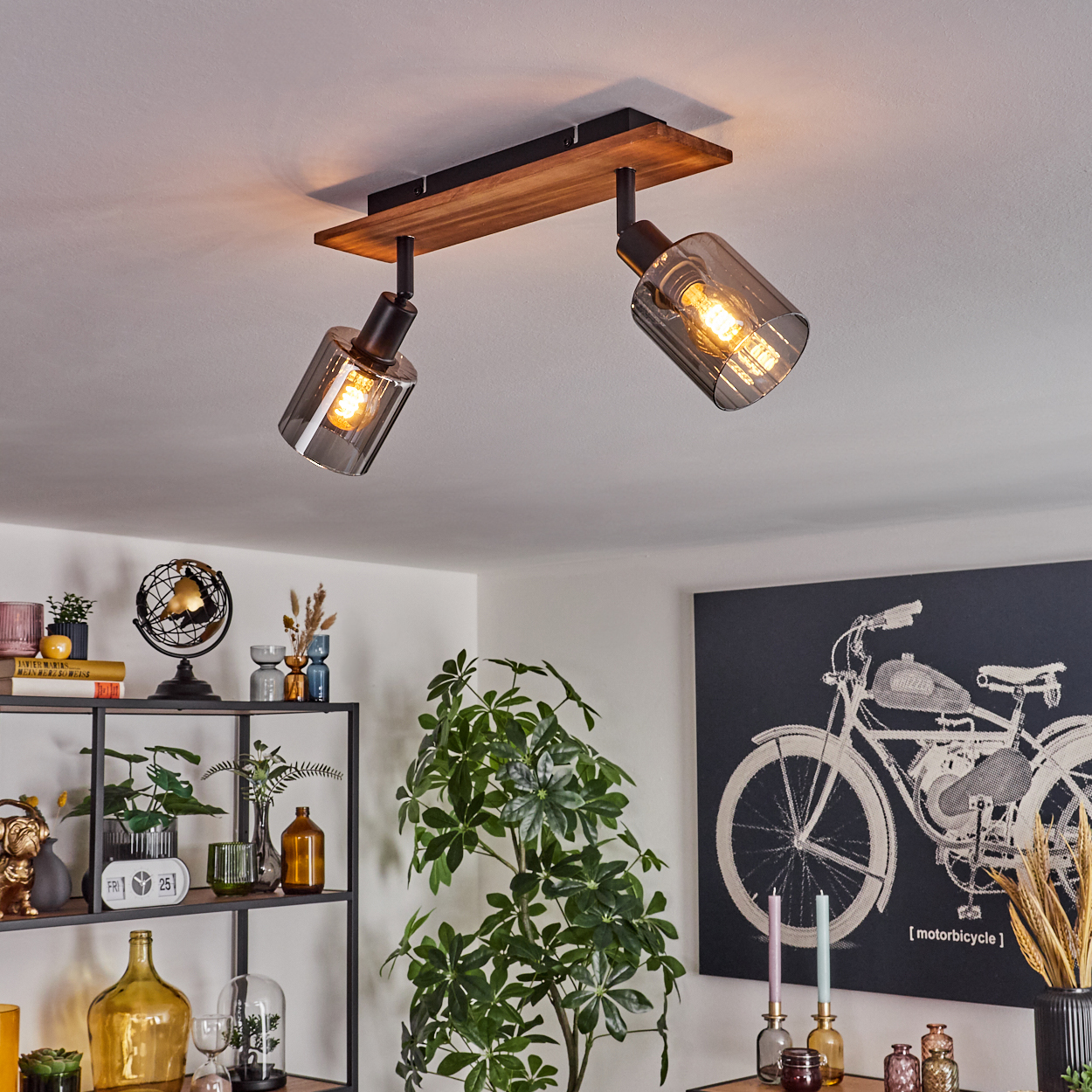 Deckenleuchten mit Glasschirmen. Darunter ein Regal mit Dekorationen. Eine Pflanze und Fahrradkunst an der Wand sind ebenfalls zu sehen.