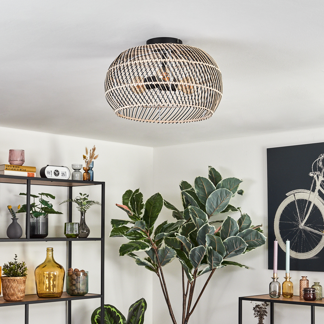 Ein Raum mit einer gewebten Lampe, einer großen Pflanze, einem Bücherregal und einem schwarz-weißen Fahrradkunstwerk.