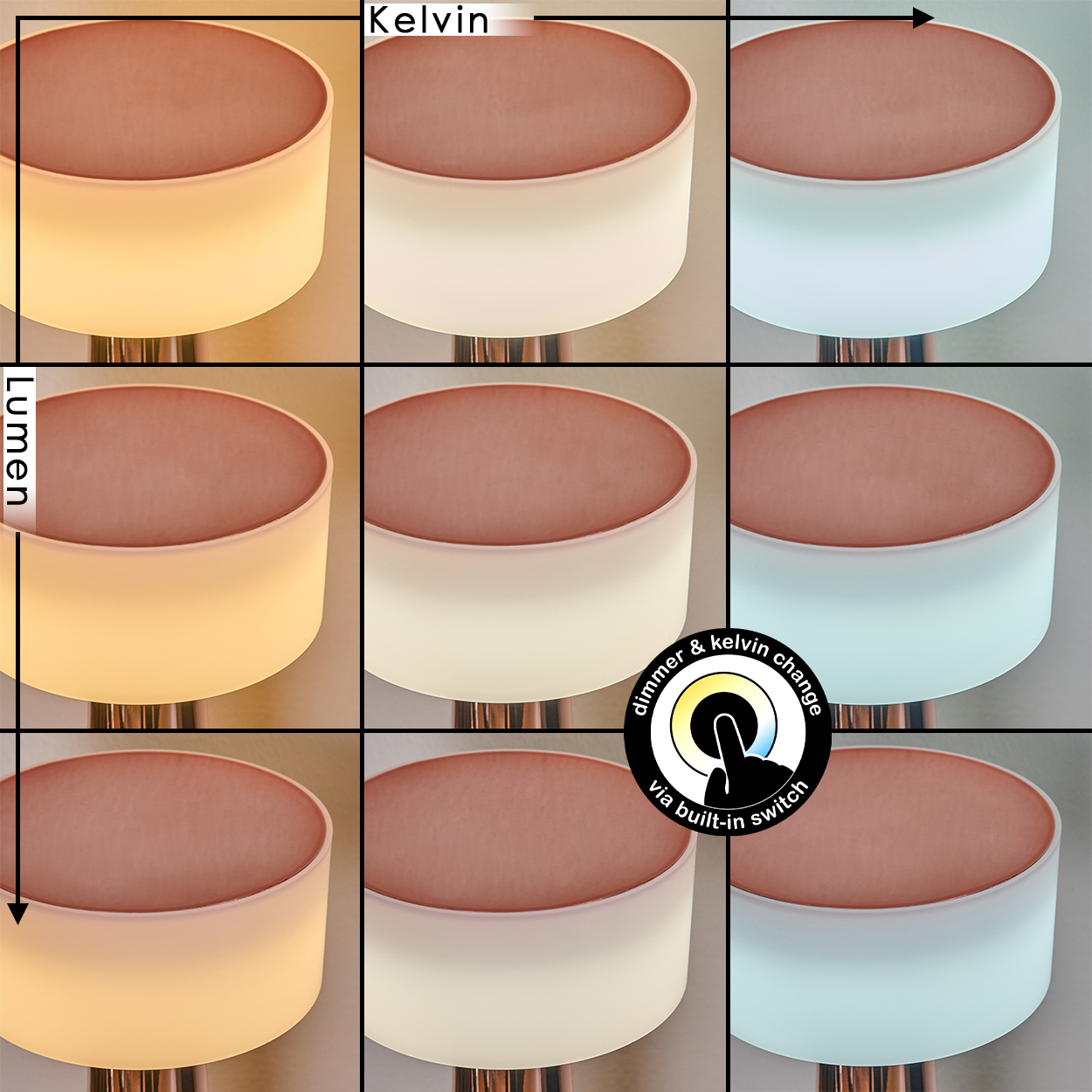 Neun Bilder einer Lampe, die verschiedene Lichteinstellungen zeigen. Variationen in Farbe und Helligkeit werden in einem Raster angezeigt, gesteuert durch einen Schalter.