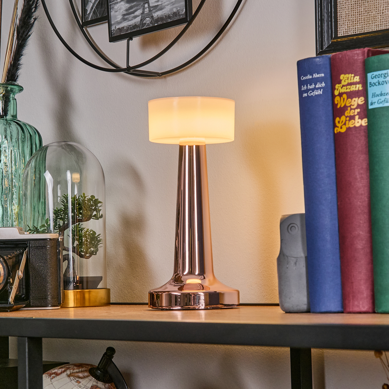 Eine Kupferlampe steht auf einem Regal mit Büchern, einer Glaskuppel mit einer Pflanze und einer Kamera. Ein schwarzer Rahmen hängt darüber.