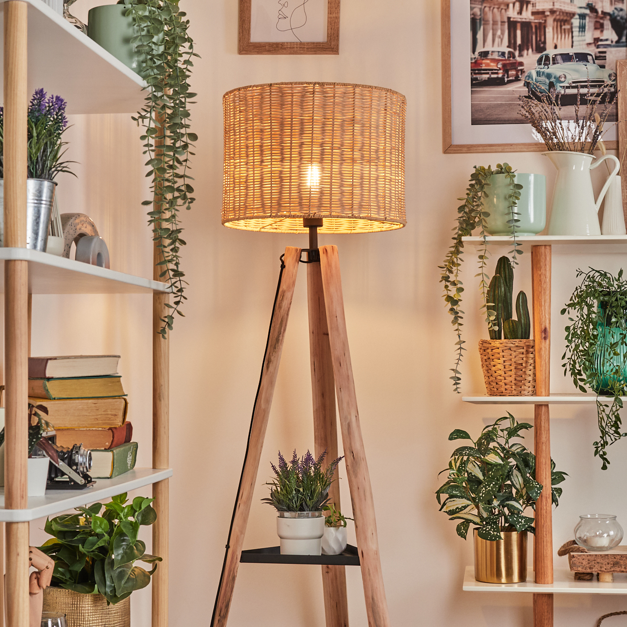 Ein Raum mit Regalen, Pflanzen und einer Holzlampe. Ein Bild mit Oldtimern hängt an der Wand.