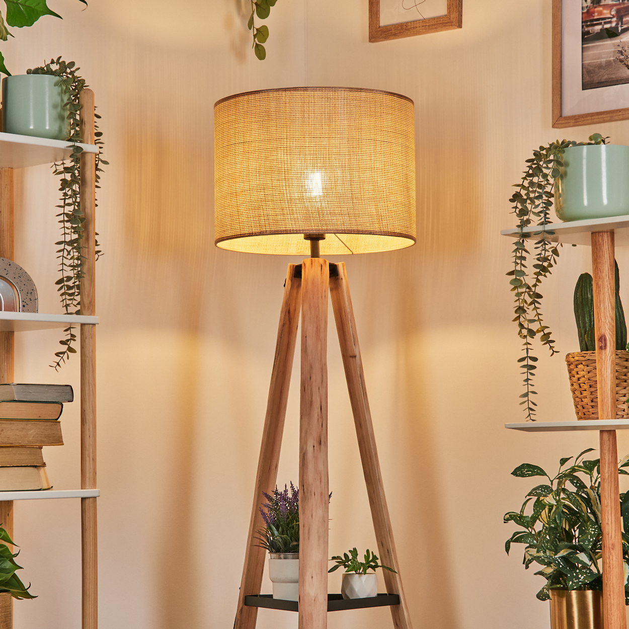 Eine beleuchtete Stehlampe mit gewebtem Schirm steht vor einer Wand. Auf beiden Seiten Regale mit Pflanzen. Bücher und Bilder sind sichtbar.