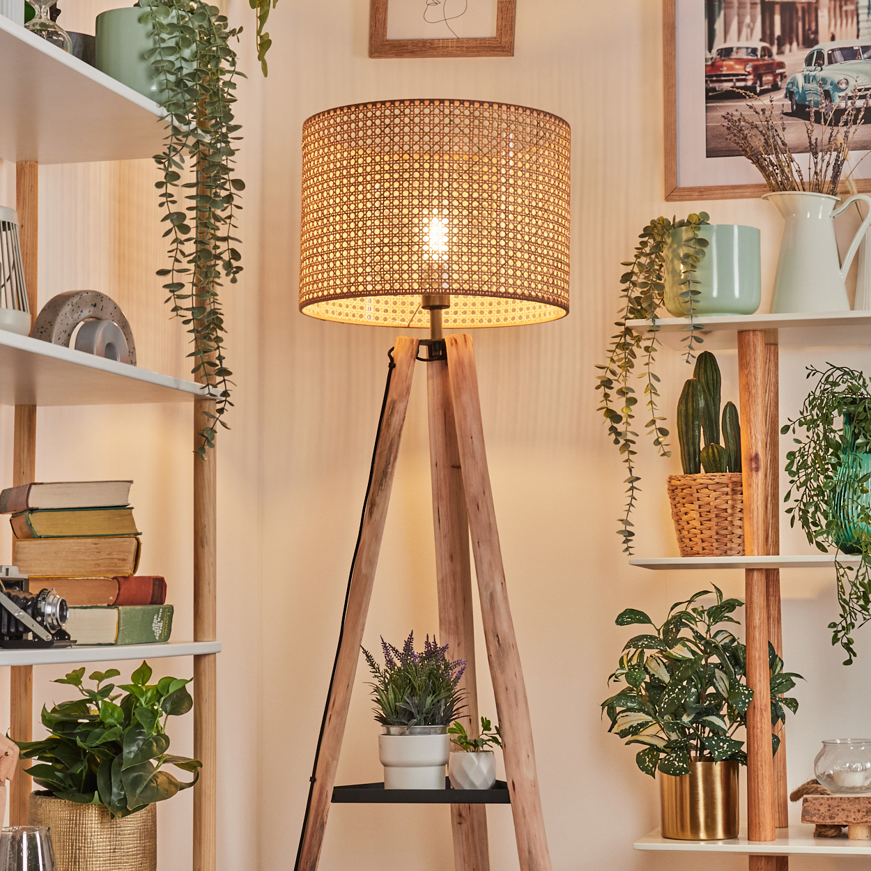 Ein Raum mit einer hölzernen Stativlampe, Pflanzen auf Regalen, Büchern und gerahmten Bildern an der Wand. Warme, gemütliche Atmosphäre.