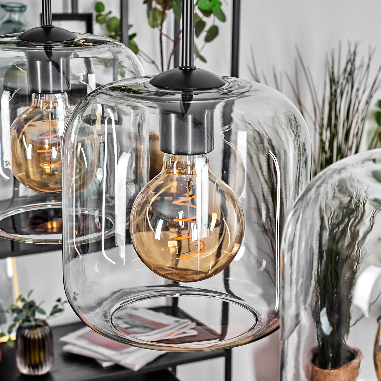 Nahaufnahme von drei Glas-Pendelleuchten mit Edison-Glühbirnen. Pflanzen und Dekoration sind im Hintergrund zu sehen, was eine moderne Inneneinrichtung schafft.