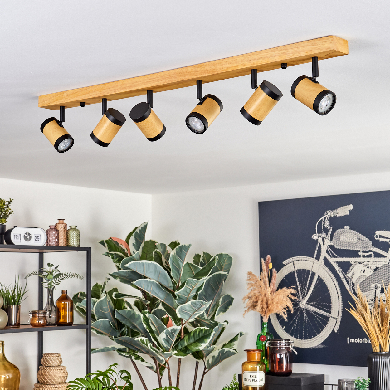 Ein Holzbalken mit sechs Strahlern hängt von der Decke. Darunter sind Pflanzen und Dekorationsartikel zu sehen. Ein Fahrradkunstwerk an der Wand.
