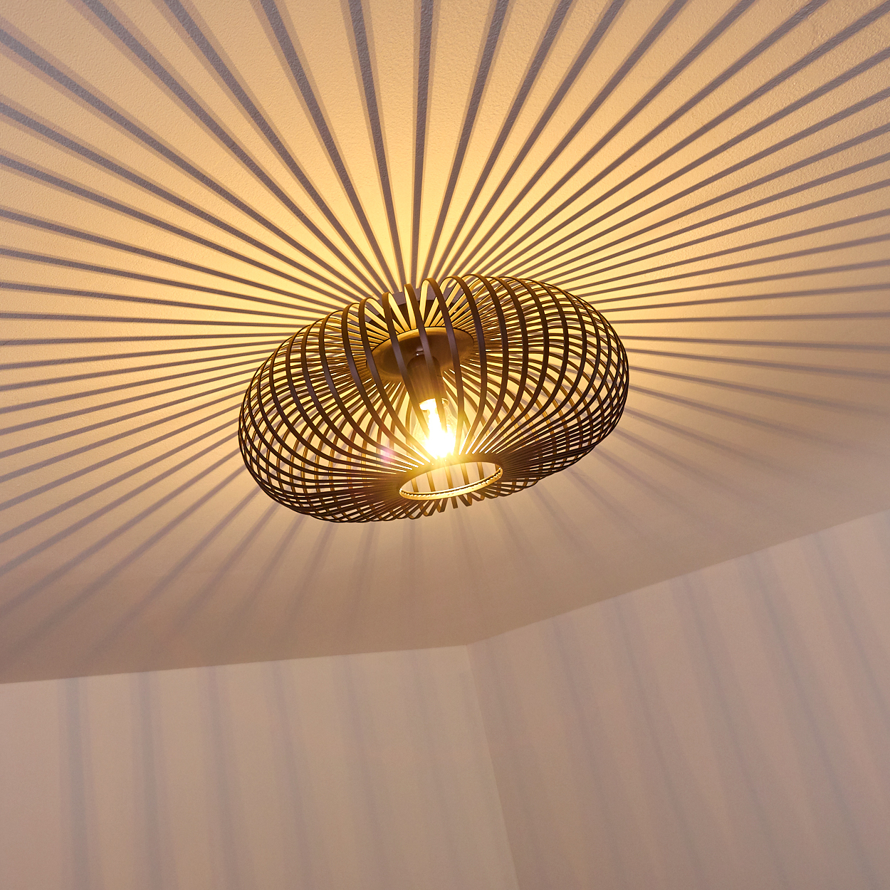 Eine schwarze, ovale Lampe hängt von der Decke. Das Licht erzeugt ein radiales Schattenmuster. Eine helle Glühbirne ist sichtbar.