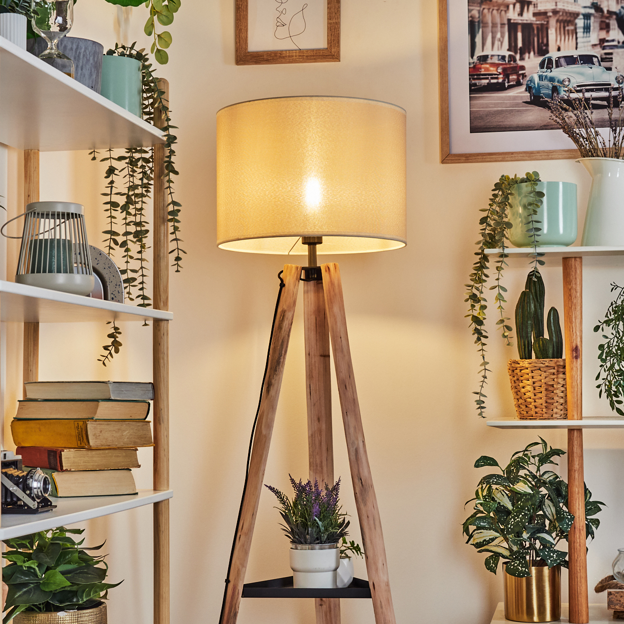 Eine beleuchtete Lampe steht auf Holzbeinen. Regale beherbergen Pflanzen, Bücher und eine Kamera. Bilder an der Wand zeigen Oldtimer und ein Gesicht.