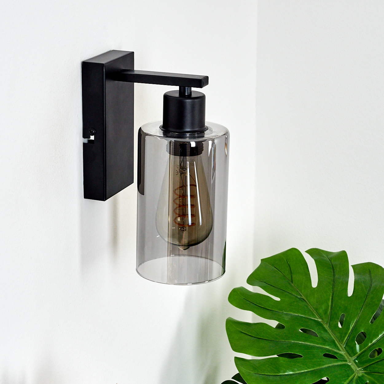 Schwarze Wandleuchte mit Glasschirm und sichtbarer Glühbirne. Ein großes grünes Blatt ist rechts. Weiße Wand im Hintergrund.