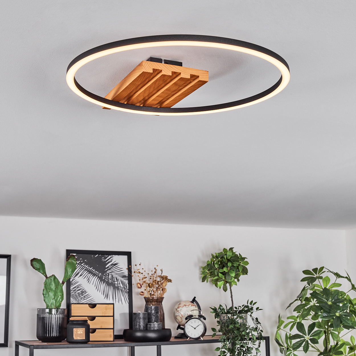 Eine moderne Deckenleuchte mit Holzsockel, umgeben von einem schwarzen Ring mit weißem Licht. Darunter ein Regal mit Pflanzen und Dekor.