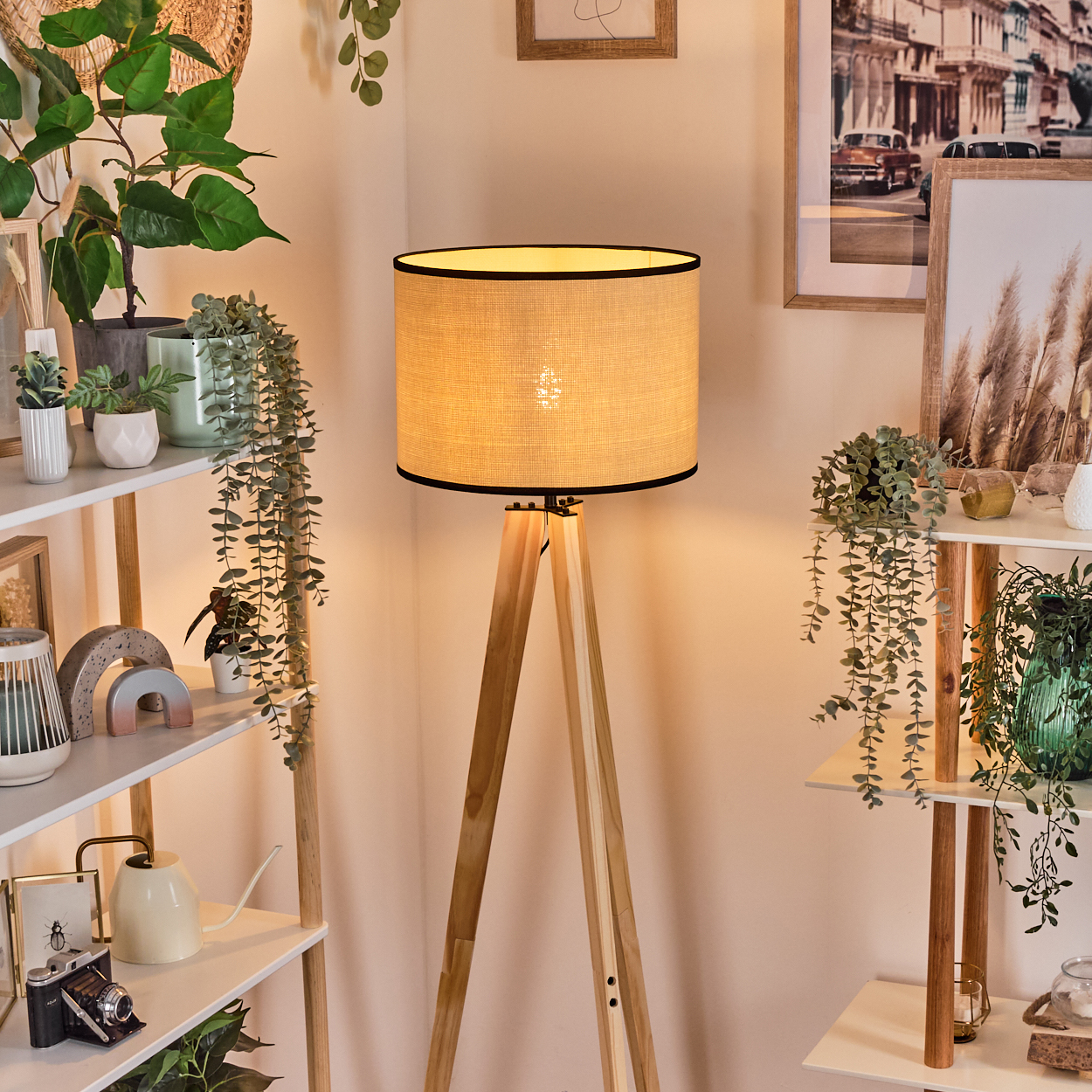 Eine beleuchtete Lampe mit beigem Schirm steht in einer Ecke. Regale mit Pflanzen und Dekor umgeben sie. Hintergrund umfasst gerahmte Kunst.
