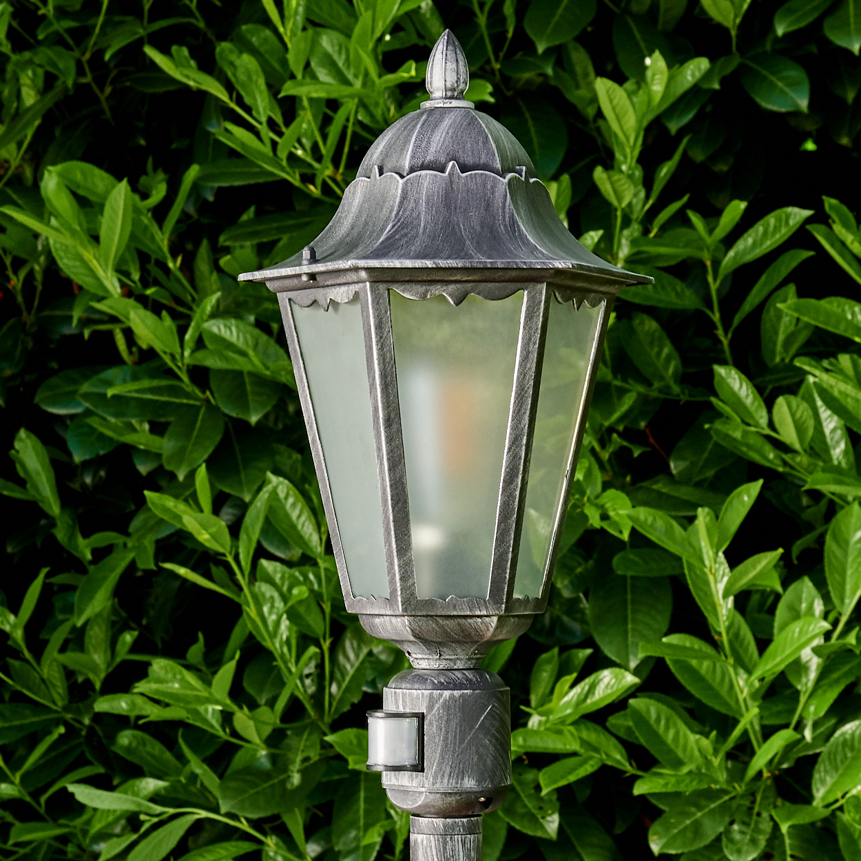 Eine graue Metall-Außenlampe mit mattiertem Glas steht vor einer grünen, belaubten Hecke. Die Lampe hat eine dekorative Spitze.