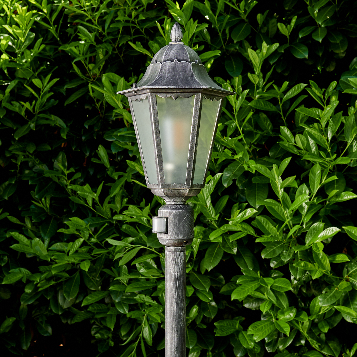 Eine graue Gartenlaterne aus Metall mit Glaseinfassung steht vor einer üppigen grünen Hecke. Die Lampe ist verziert.