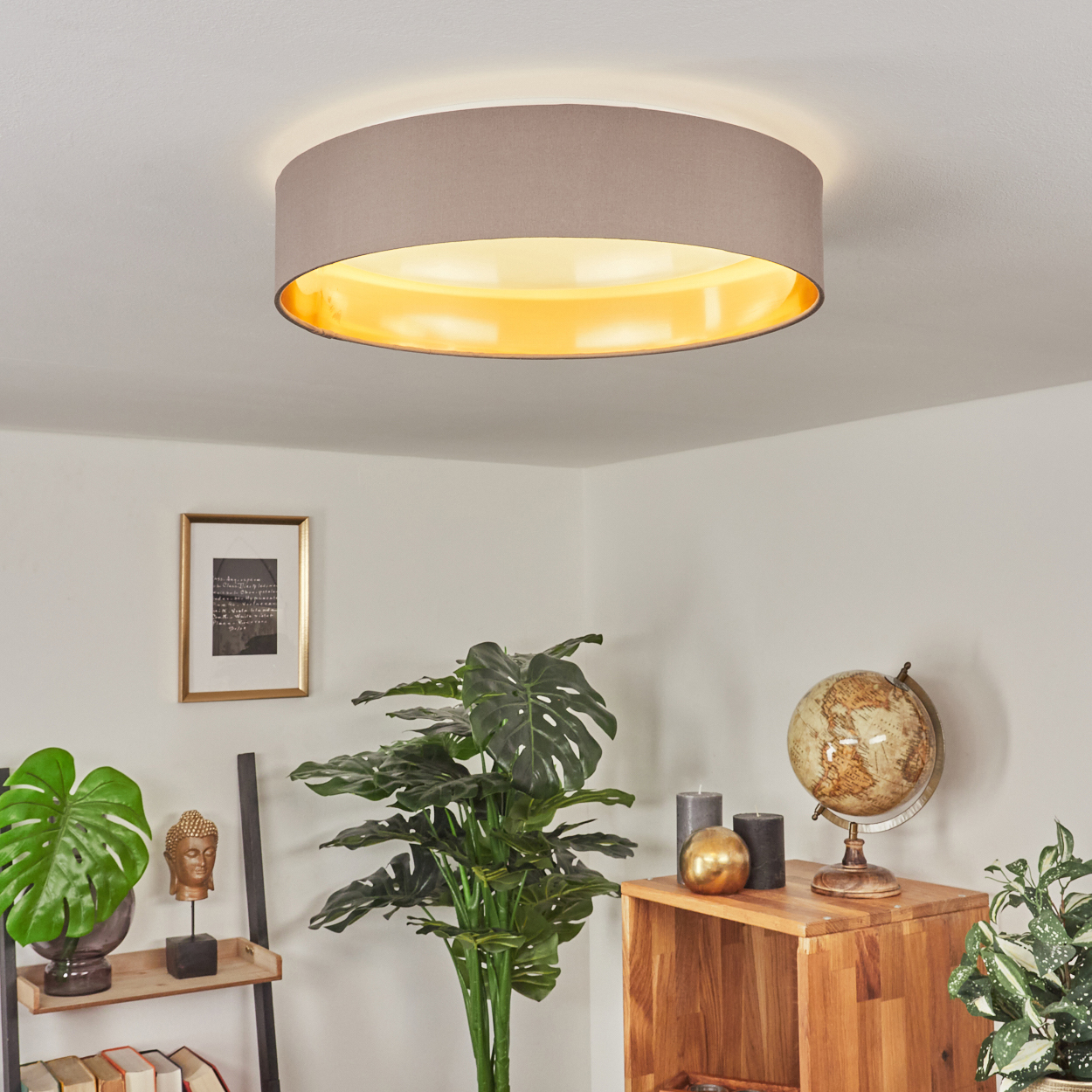 Eine Deckenlampe, Pflanzen, ein Globus und gerahmte Kunst schmücken einen Raum. Die Lampe ist beige. Pflanzen stehen unter der Lampe.