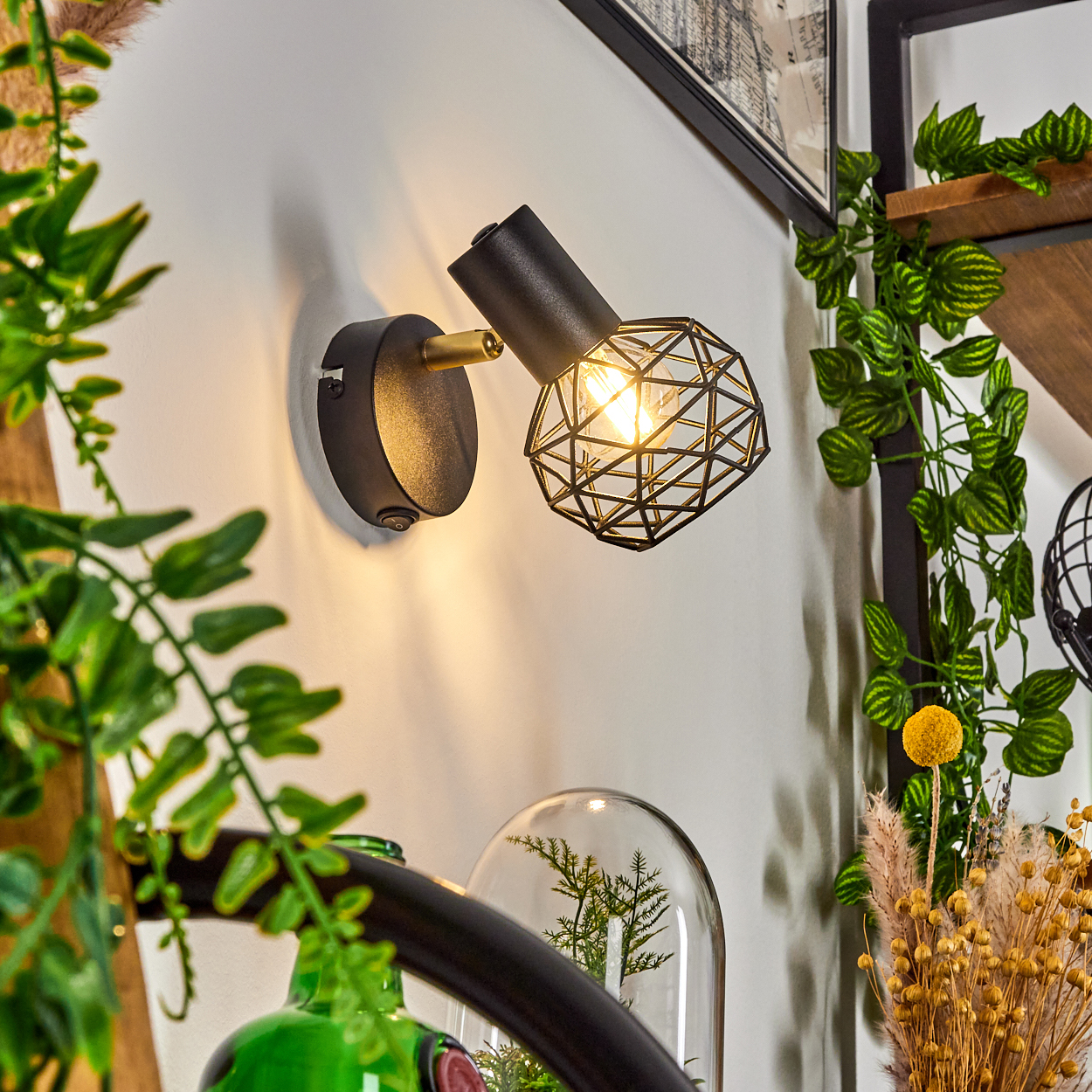 Eine schwarze Wandlampe mit geometrischem Lampenschirm beleuchtet eine weiße Wand. Dekorative Pflanzen und eine Glaskuppel sind im Vordergrund.