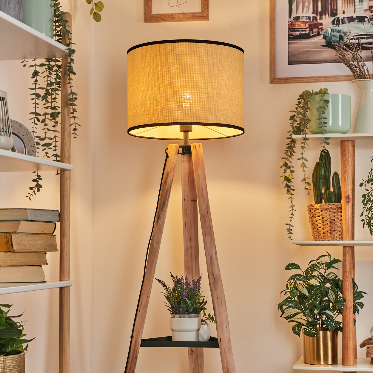 Eine hölzerne Stehlampe mit beigem Lampenschirm steht in einem Raum mit Pflanzen auf Regalen. Ein Bild von Autos hängt an der Wand.