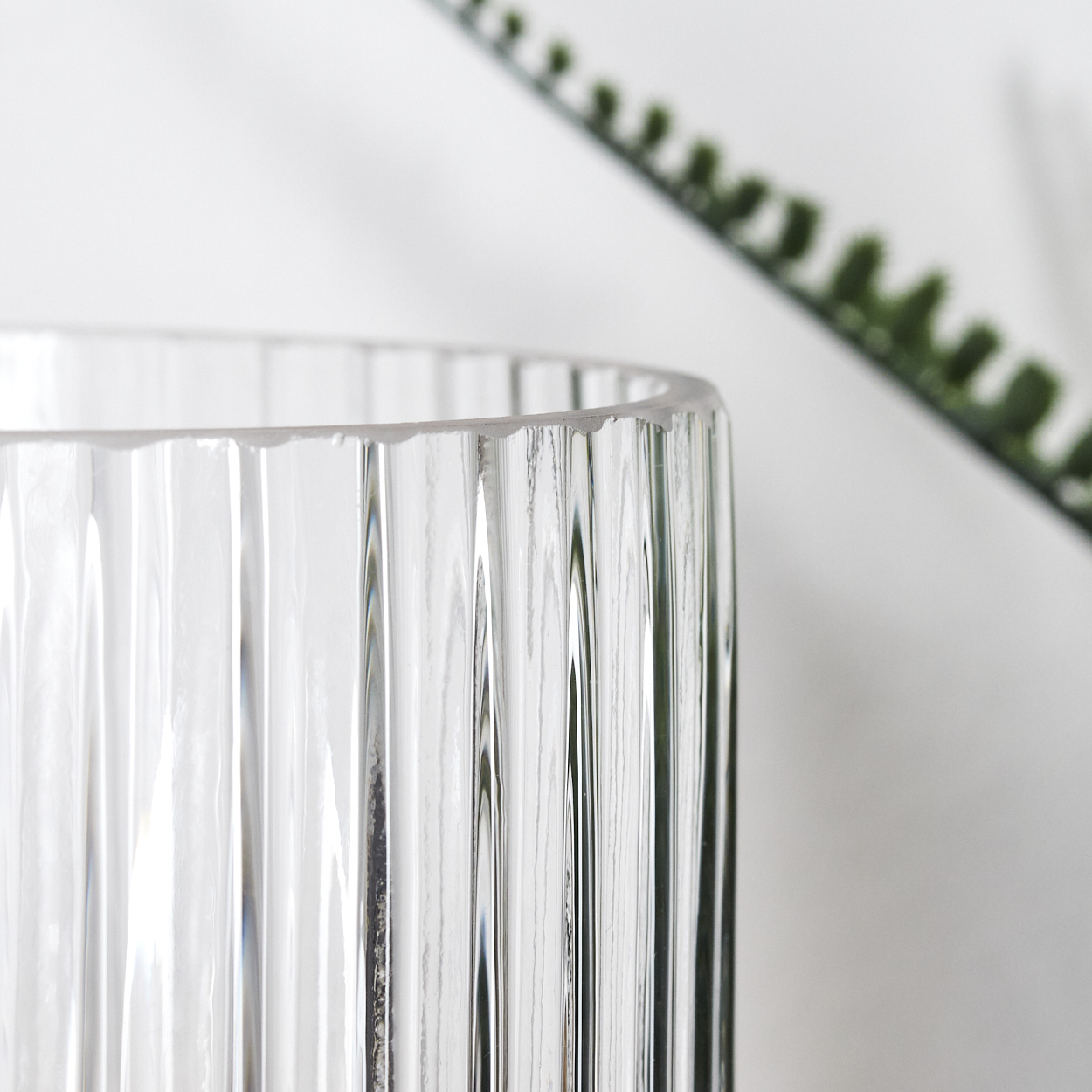 Nahaufnahme einer klaren, geriffelten Glasvase. Im Hintergrund ist eine grüne Pflanze. Die Vase steht auf weißem Untergrund.
