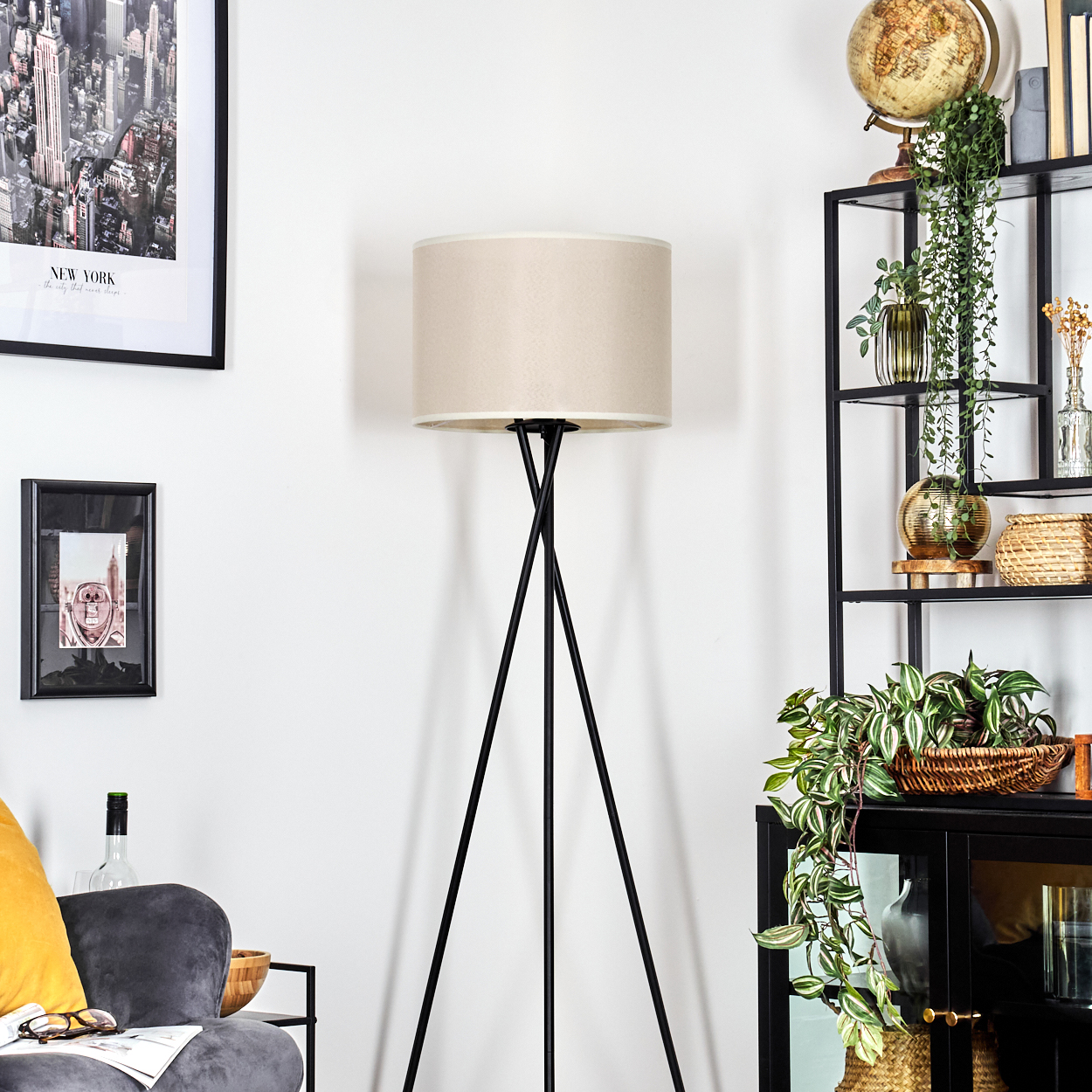 Ein Raum mit Stehlampe, Bücherregal mit Pflanzen und Sofa. Bilder an der Wand. Ein Globus steht auf dem Regal.