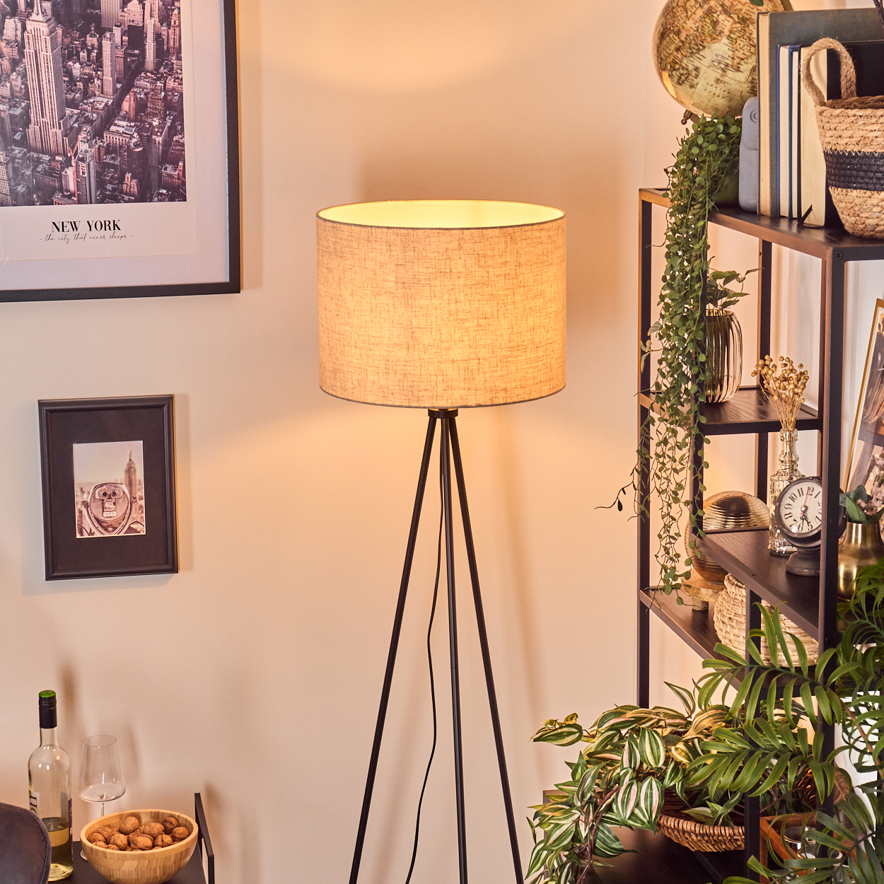 Eine beleuchtete Lampe steht in einem Raum mit Regalen, Pflanzen und gerahmten Bildern. Auf den Regalen stehen ein Globus und Bücher. Eine Schüssel mit Walnüssen.