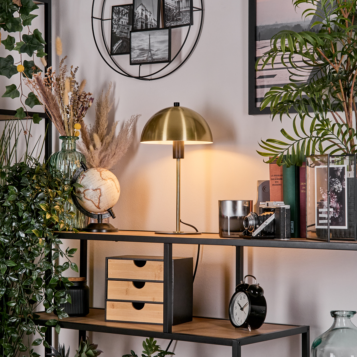 Ein Regal mit Lampe, Globus, Büchern, Kamera, Uhr und Dekorationsartikeln. Grüne Pflanzen und gerahmte Bilder sind ebenfalls sichtbar.