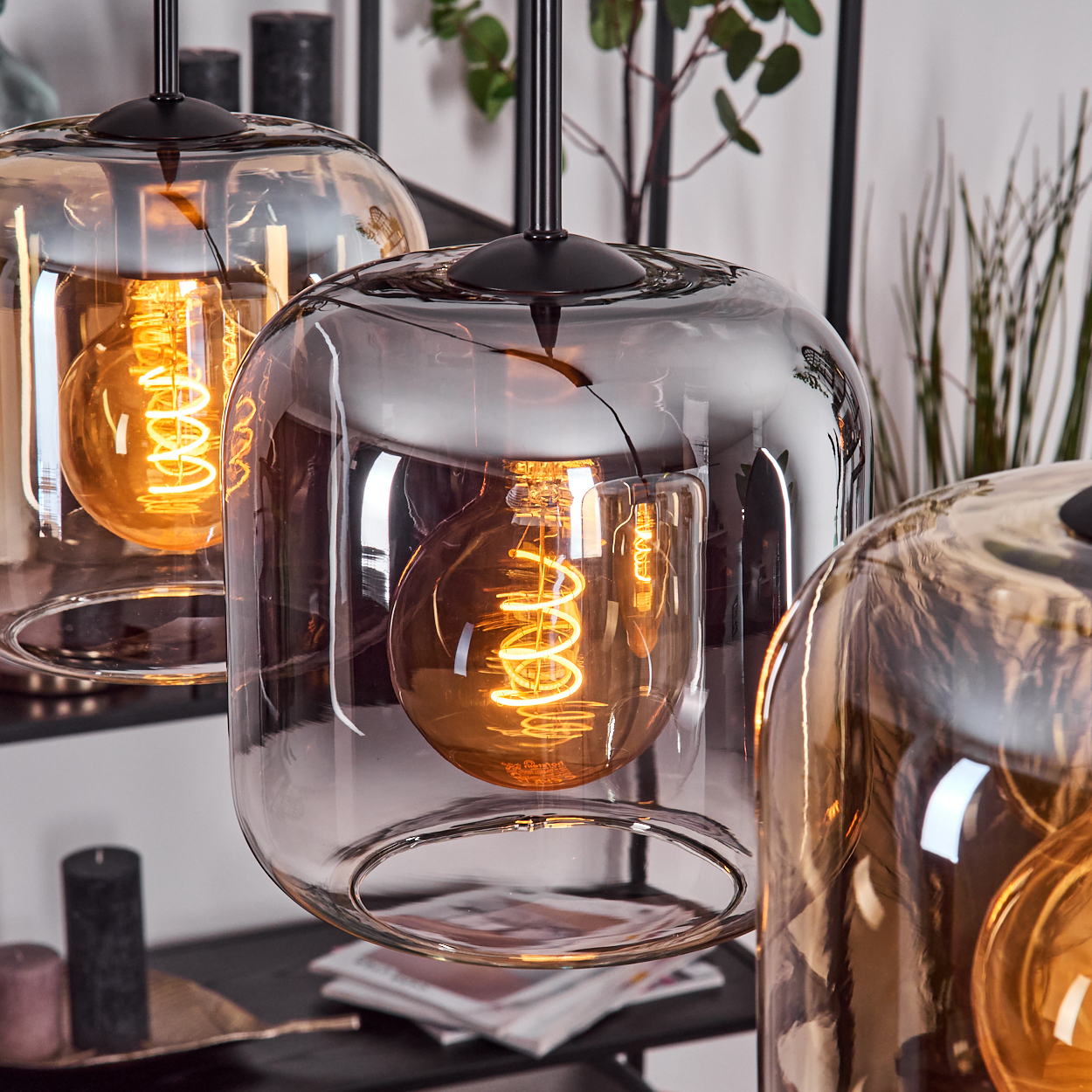 Drei moderne Pendelleuchten mit Glasschirmen. Jede hat eine warme, leuchtende Glühbirne. Hintergrund: Pflanzen und ein dunkles Regal.