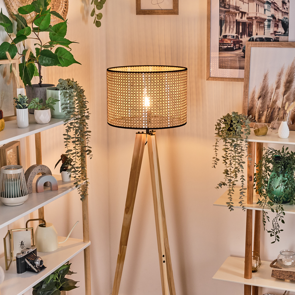 Eine Stehlampe mit gewebtem Lampenschirm steht in einem Raum mit Pflanzen auf Regalen. Kunstwerke und Dekorationen sind an den Wänden.
