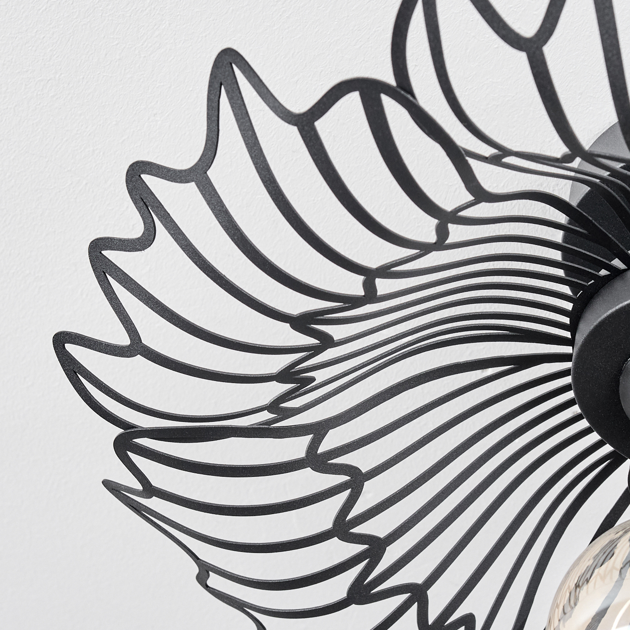 Nahaufnahme einer schwarzen Metall-Deckenleuchte. Das Design zeigt geschwungene Linien, die einer Blume vor weißem Hintergrund ähneln.