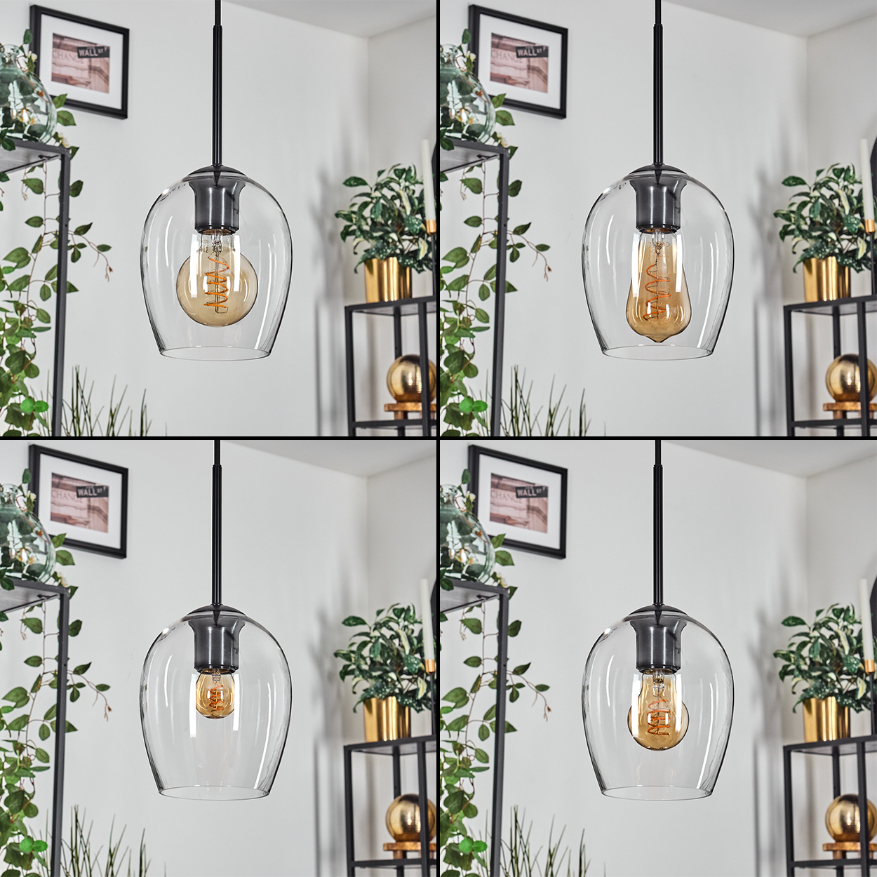 Eine transparente Glas-Pendelleuchte mit sichtbarer Glühbirne, umgeben von Zimmerpflanzen und dekorativen Gegenständen, vor einer weißen Wand.