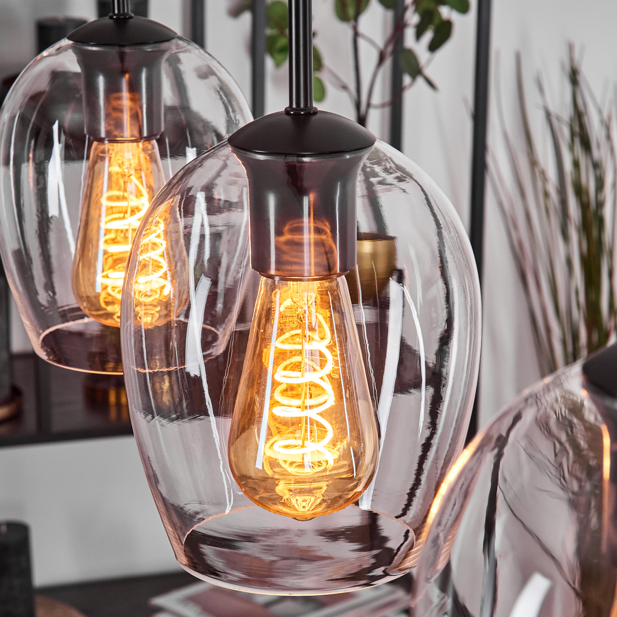 Nahaufnahme von drei Pendelleuchten mit Glasschirmen und Edison-Glühbirnen. Pflanzen und Dekorationselemente sind im Hintergrund sichtbar.