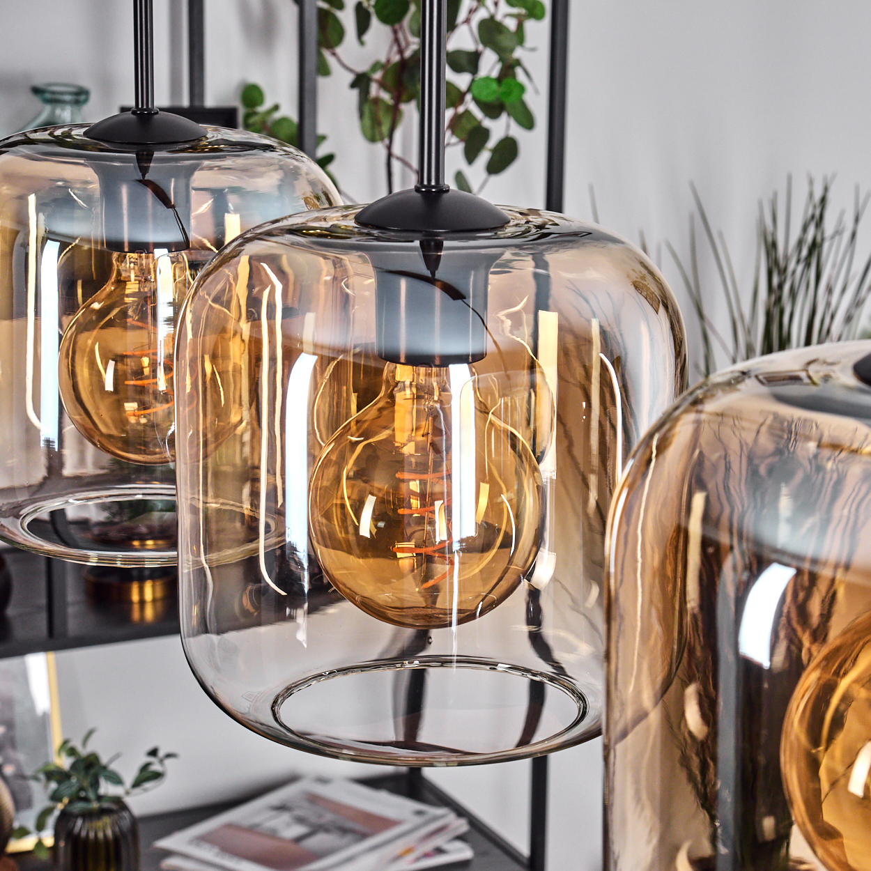 Drei Glashängeleuchten mit bernsteinfarbenen Glühbirnen. Schwarze Armaturen, transparente Glasschirme. Ein Regal mit Pflanzen und Zeitschriften im Hintergrund.