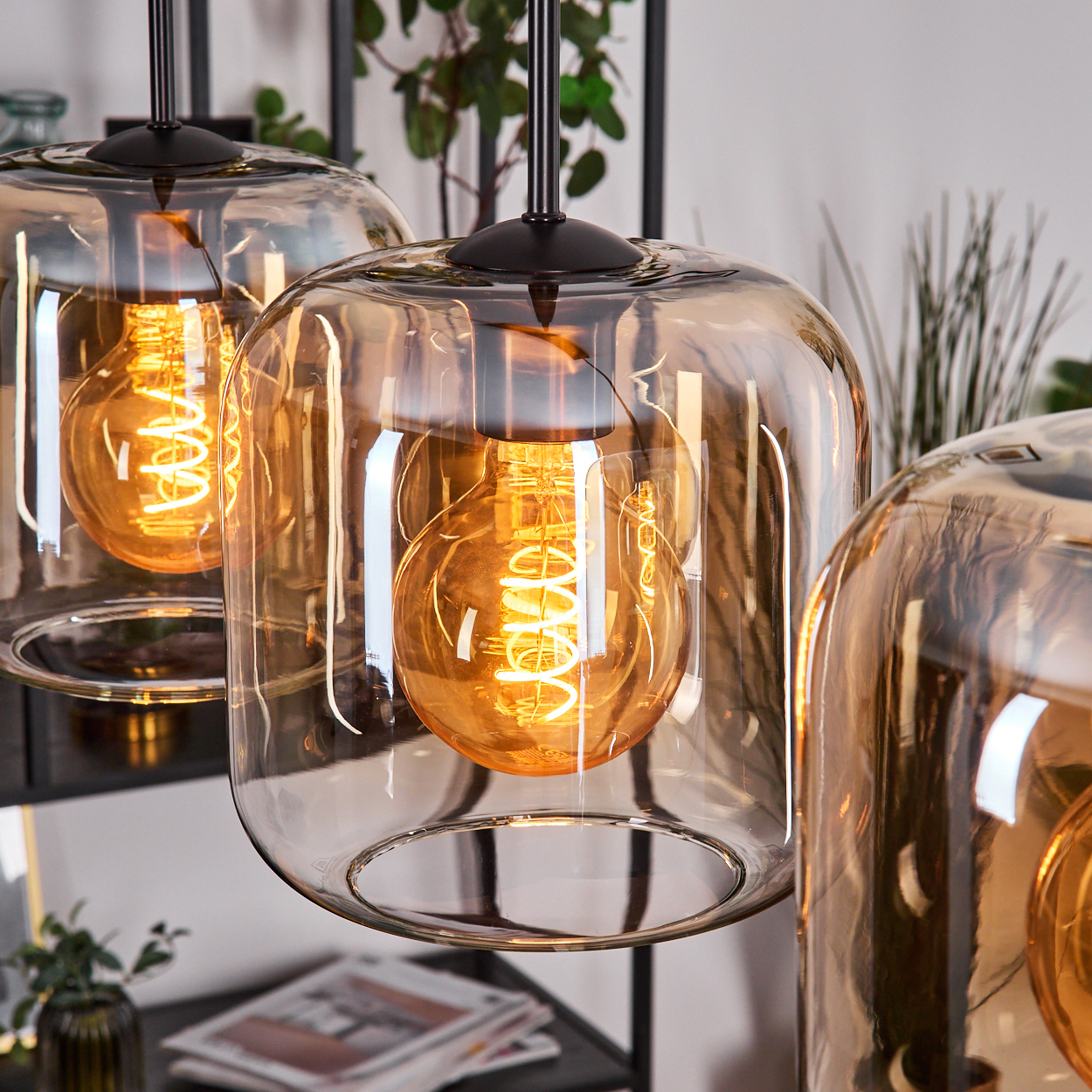 Drei Pendelleuchten mit bernsteinfarbenen Glasschirmen und freiliegenden, spiralförmigen, warm getönten Glühbirnen. Hintergrund mit Deko und Pflanzen.