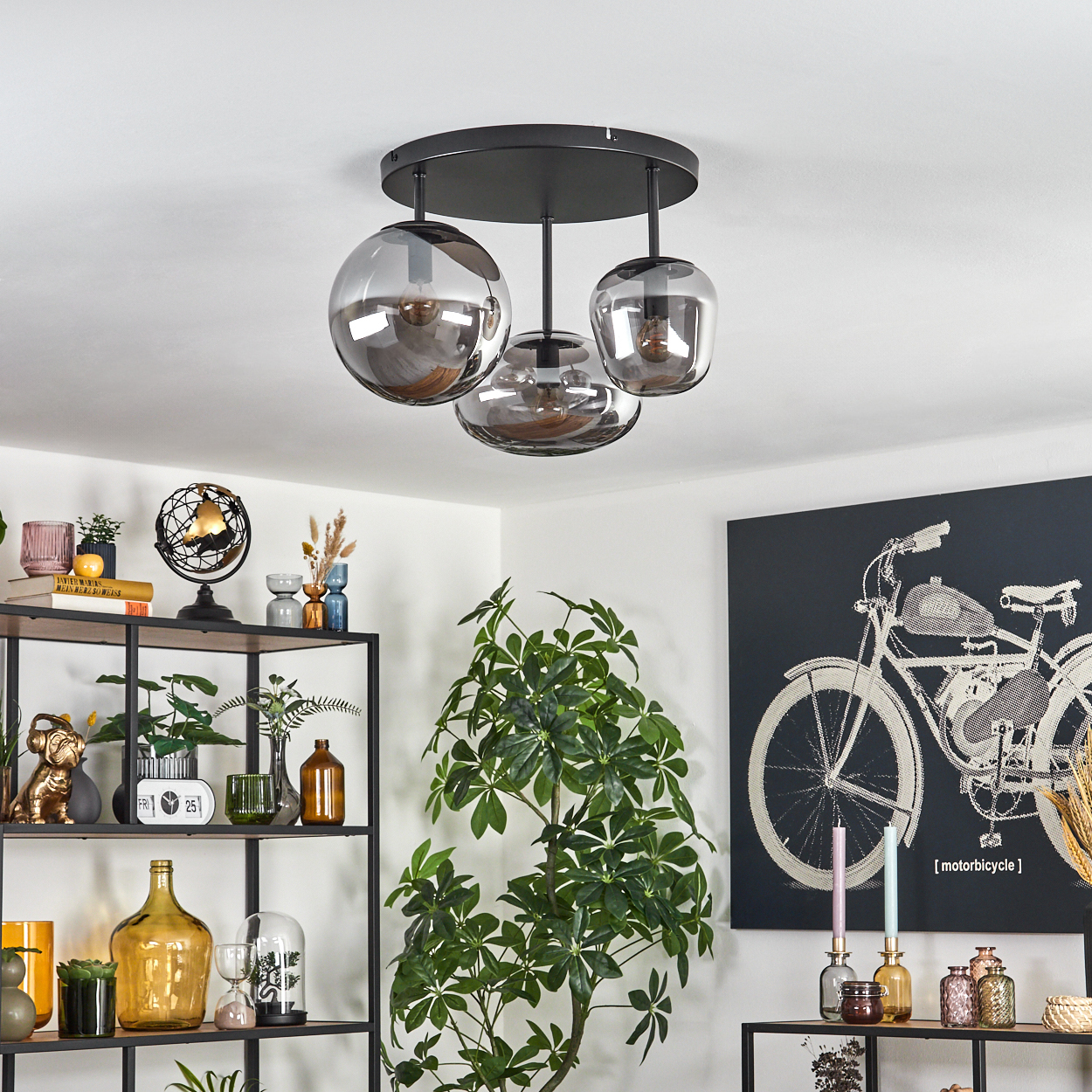 Deckenleuchte mit drei Glaskugeln. Regale mit Dekoration und Pflanzen. Kunstwerk eines Motorrads. Grüne Pflanze im Vordergrund.