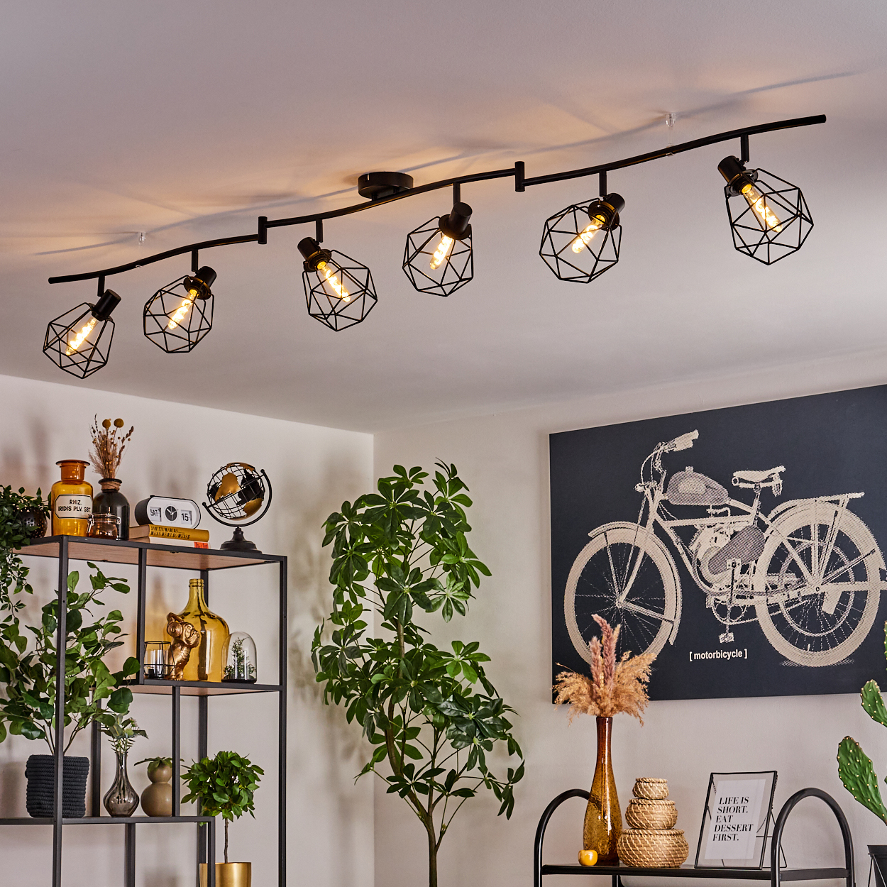 Eine Decke mit einer schwarzen Schienenleuchte, ein Gemälde eines Motorrads und ein Regal mit Pflanzen und Dekorationsartikeln.