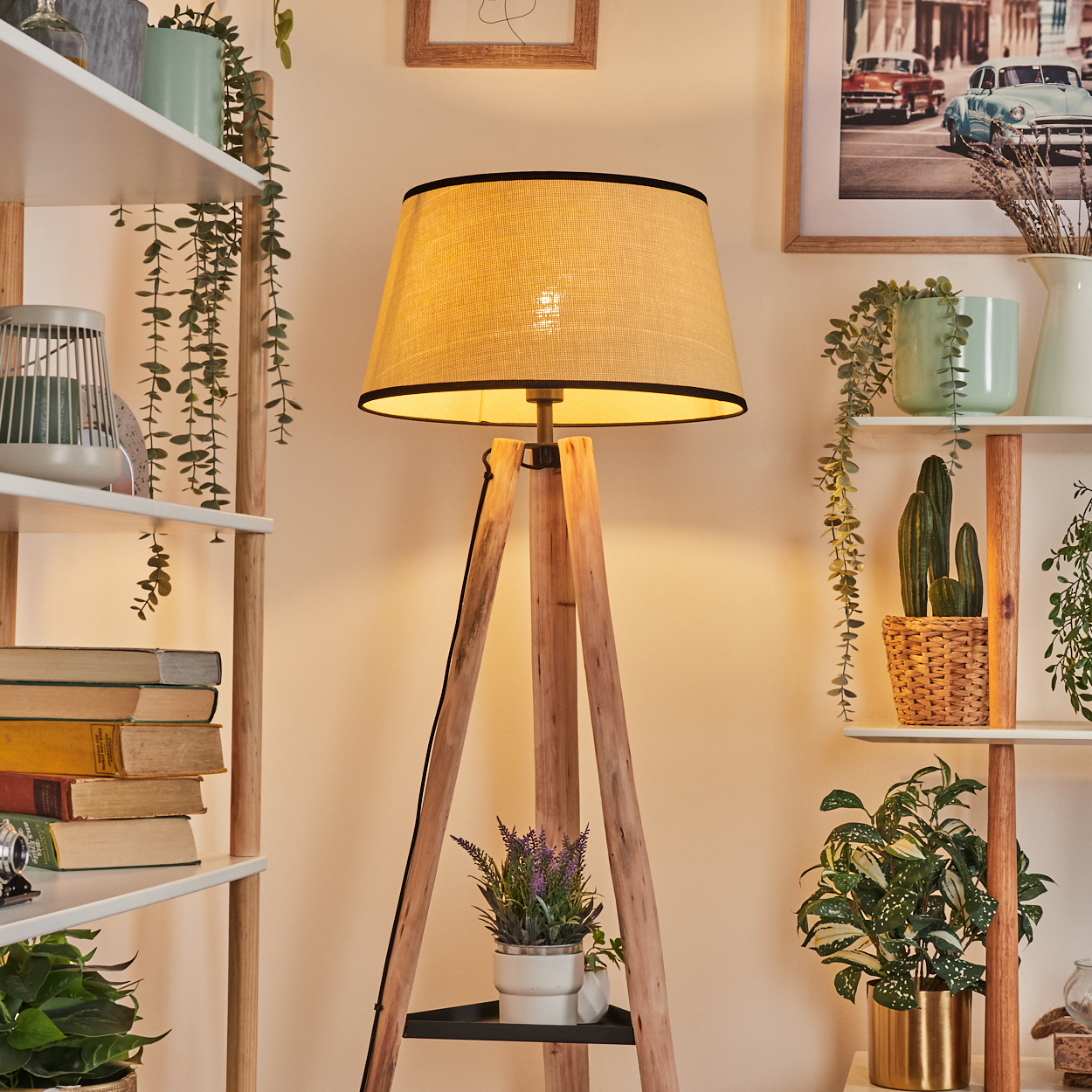 Eine hölzerne Stehlampe steht in einem Raum mit Regalen und Pflanzen. Ein gerahmtes Bild von Oldtimern hängt an der Wand.